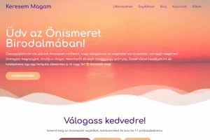 ujfalusi_peter_weblap_weboldal_keszites_wordpress_gal2